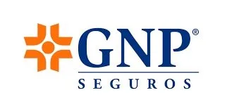 PIÑON PETRIZ CONSULTORES SC Logo