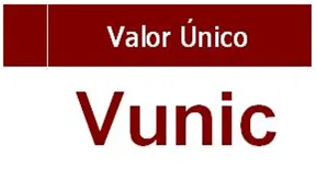 Valor Unico Logo