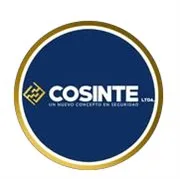 COSINTE LTDA Logo