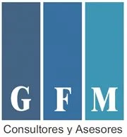 GFM CONSULTORES Y ASESORES S.A.C