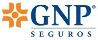 Grupo Nacional Provincial Logo