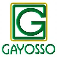 GAYOSSO Logo